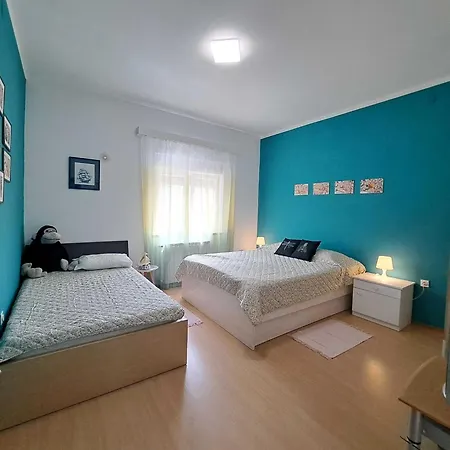 Spacious Urban Retreat With Terrace Dajla